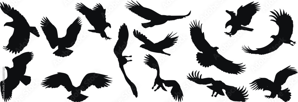 set of flying eagles silhouette, vector set of flying eagles silhouette, vector