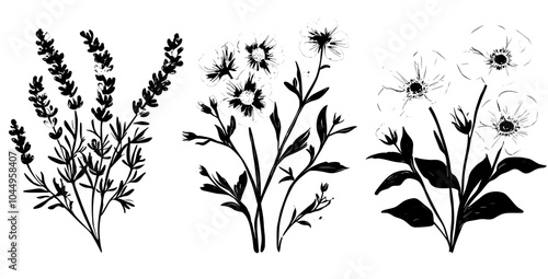 An elegant floral modern illustration of beautiful wild meadow flowers and flowering herbs. Set of bunches of wildflowers isolated on white background.