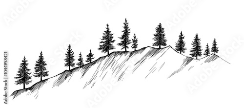 Wild coniferous forest landscape with hand drawn spruce, pine, and fir trees growing on hills. Woodland panorama. Elegant monochrome decorative element isolated on white. Modern illustration.