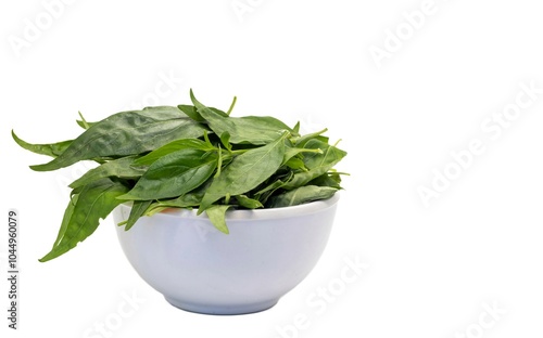 Green Chiretta or Kalmegh Leaves in a White Bowl Isolated on White Background with Copy Space, Also Known as Andrographis Paniculata, Uses Ayurvedic Herbal Medicine photo