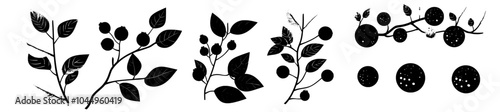 Natural summer forest and garden fruits. Black and red currant, lingonberry, blueberry, bilberry growing on branch, twig with leaf. Flat modern illustration isolated on white.