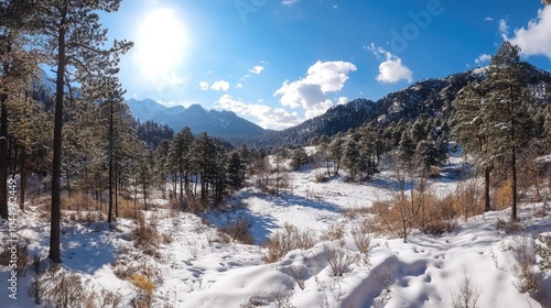 Wallpaper Mural Panoramic view of a snowy mountain forest on a sunny day Torontodigital.ca