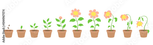 Vector Illustration of Cartoon flower character Growth Stages. Include wilted and dried plants