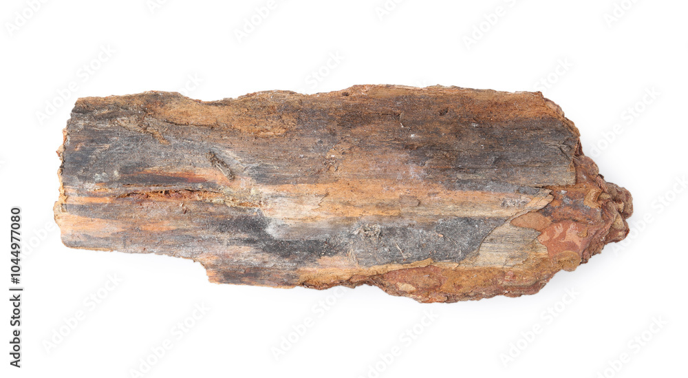 One piece of tree bark on white background, top view One piece of tree bark on white background, top view
