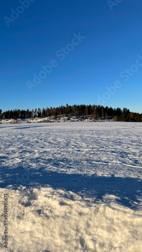 Winter field with trees and clear blue sky in Norway