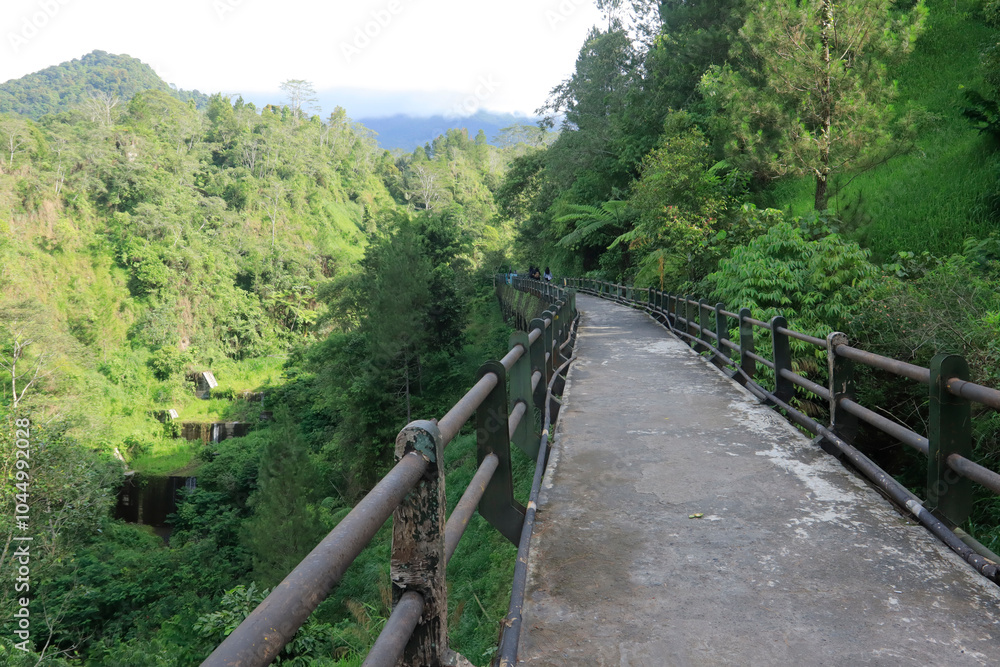 A scenic pathway winding through lush, green mountains, surrounded by dense foliage and peaceful nature. Perfect for themes of exploration, hiking, and the beauty of the natural world A scenic pathway winding through lush, green mountains, surrounded by dense foliage and peaceful nature. Perfect for themes of exploration, hiking, and the beauty of the natural world
