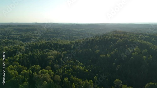 4K aerial view over the sprawling green hills and dense forests of Latgale, capturing the natural beauty and tranquility of the Big Liepukalns hilltop area. photo