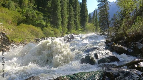 Beautiful landscape with the rough river in the mountain forest. Stony rough mountain river in a background of a forest. Slow motion. Mountain river raging waves, rocks and rocks in the river.