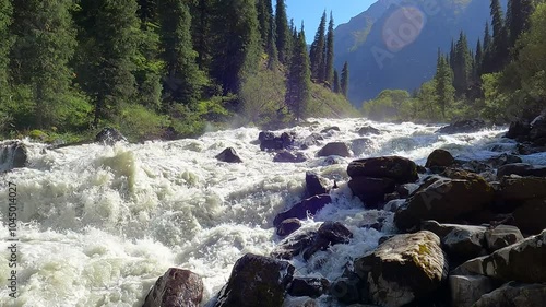 Beautiful landscape with the rough river in the mountain forest. Stony rough mountain river in a background of a forest. Slow motion. Mountain river raging waves, rocks and rocks in the river.