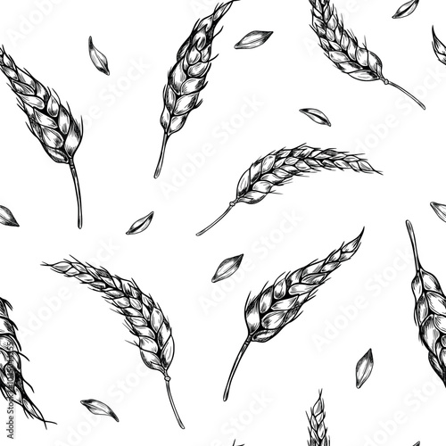 Wheat ear, barley black white vector seamless pattern isolated. Repeated texture of spikelet of rye, grains monochrome engraving painted by ink for design textile, wrapping paper, packaging, bakery.