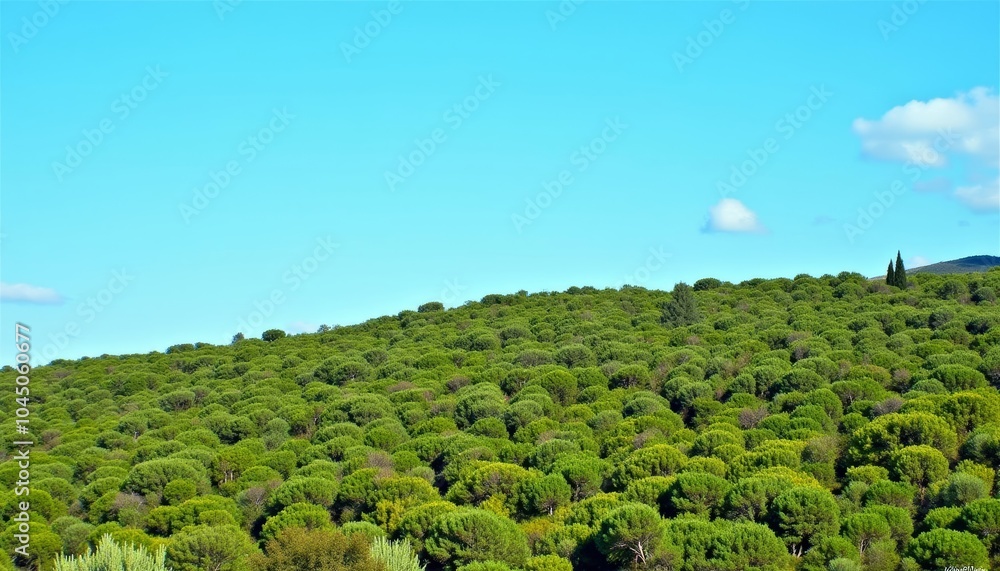 Vibrant forest under clear blue sky Vibrant forest under clear blue sky