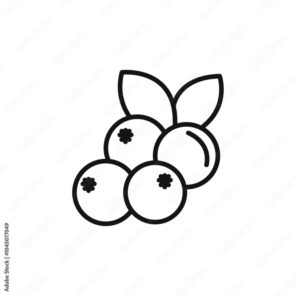 Cranberry icon Isolated flat vector in outline Cranberry icon Isolated flat vector in outline