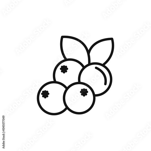 Cranberry icon Isolated flat vector in outline