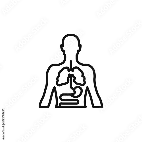 human body anatomy icon Isolated flat vector in outline