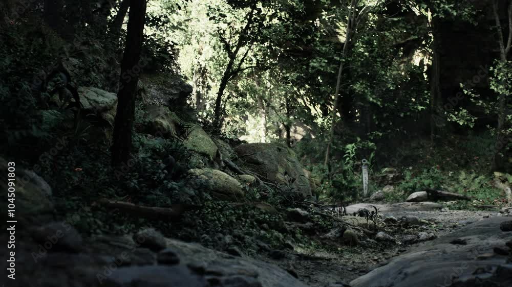 dirt road winding through a rocky forest devoid of people and animals. dirt road winding through a rocky forest devoid of people and animals.