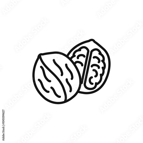 Walnut icon Isolated flat vector in outline