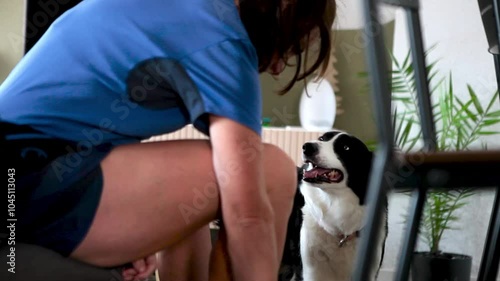 Perro esperando a mujer preparandose  para ir hacer deporte 