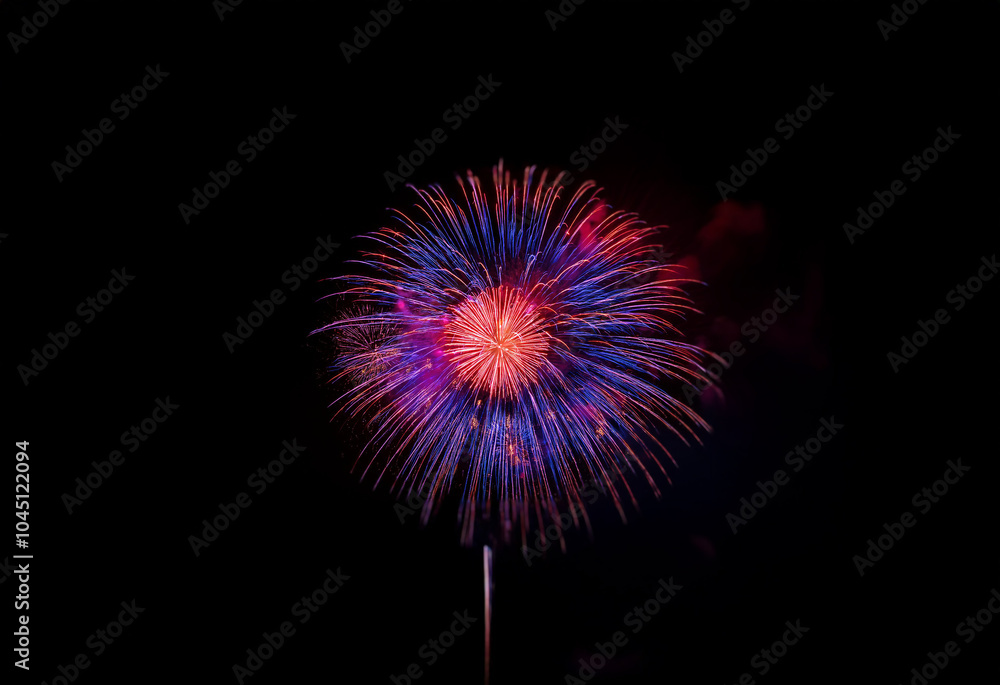 A single firework bursts in a vibrant display of red and blue against a black, isolated background.