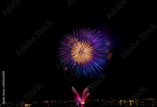 A single burst of purple and blue fireworks against a black background.