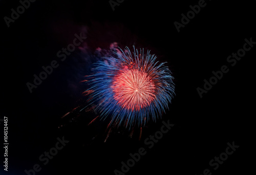 An isolated firework display against a black background, with red and blue hues.