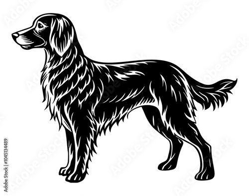 irish setter dog full body icon. Black and white logo, dog silhouette, engraving style. Pet character. Vector illustration