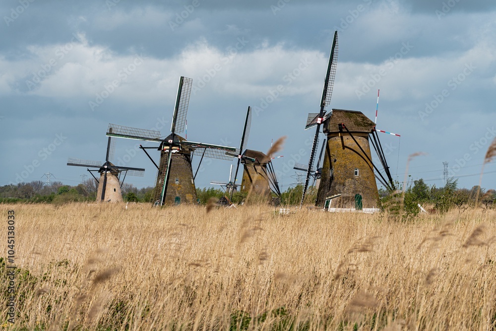 Fototapeta premium Traditional Dutch Windmills in Kinderdijk.