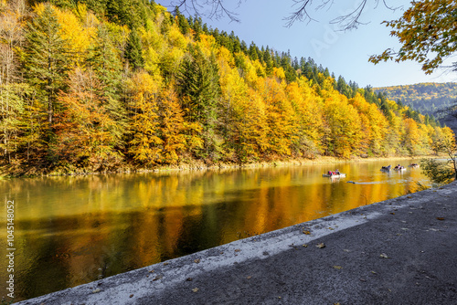 Wooden raft (tratwa flisacka) filled with tourists floating on the Dunajec river in the Pieniny National Park. The Dunajec Gorge in autumn. Mountains. Traditional rafting . Beautiful yellow trees on t photo