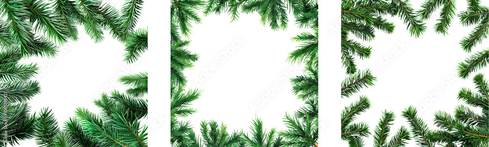 Collection of Christmas leaves backgrounds isolated on white or transparent background Collection of Christmas leaves backgrounds isolated on white or transparent background