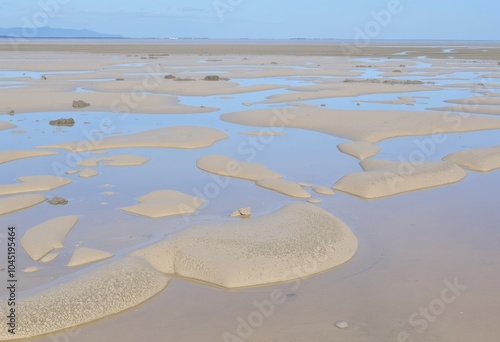 Mudflats Coastal wetlands covered by shallow water and exposed m photo