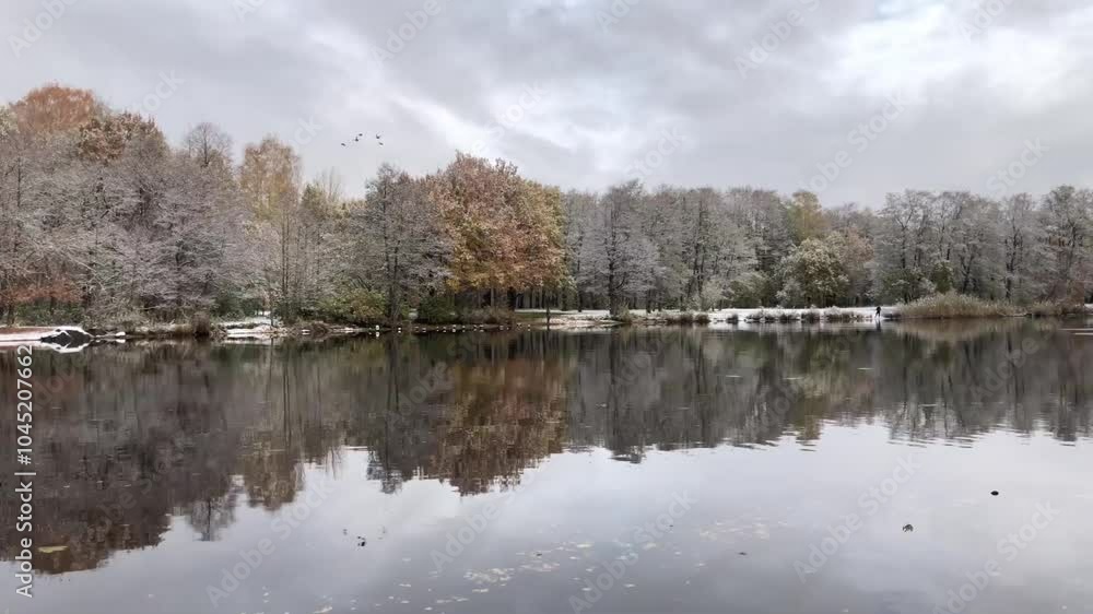 beautiful winter landscape by the river trees in snow reflected in the water gloomy dark sky the last ducks fly south beautiful winter landscape by the river trees in snow reflected in the water gloomy dark sky the last ducks fly south