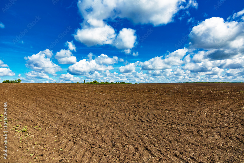 Plowed field in the countryside.Field landscape with blue sky.Agricultural field on which grow cereals, summer time Plowed field in the countryside.Field landscape with blue sky.Agricultural field on which grow cereals, summer time