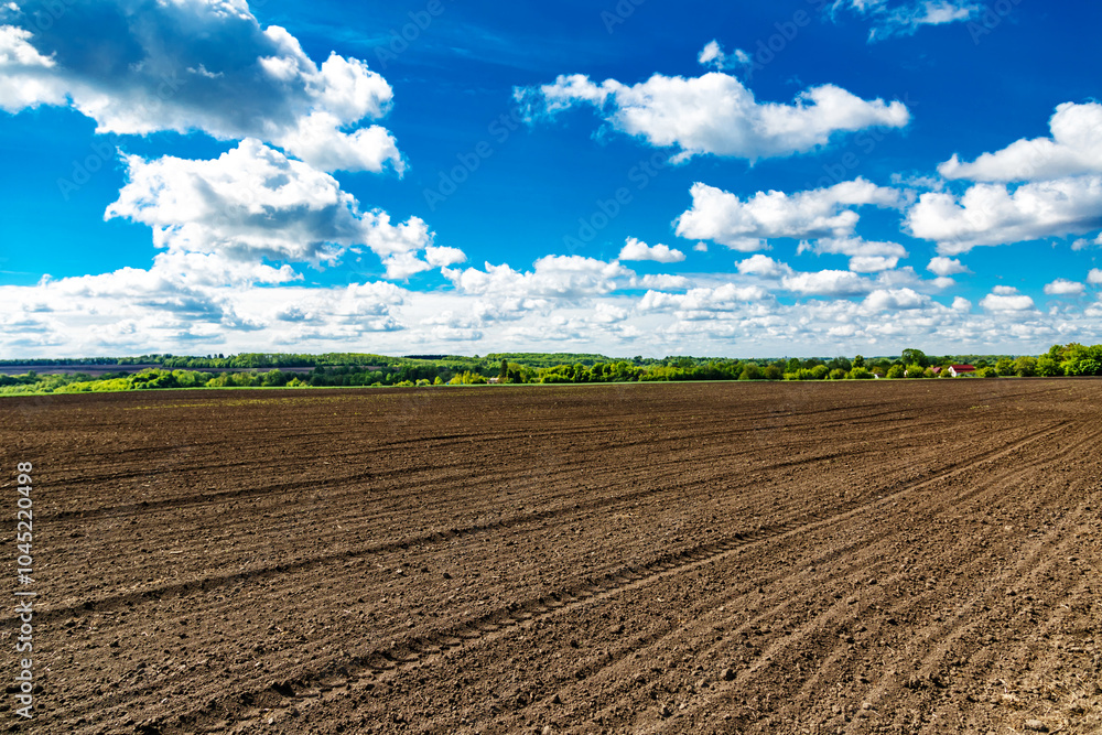 Plowed field in the countryside.Field landscape with blue sky.Agricultural field on which grow cereals, summer time Plowed field in the countryside.Field landscape with blue sky.Agricultural field on which grow cereals, summer time