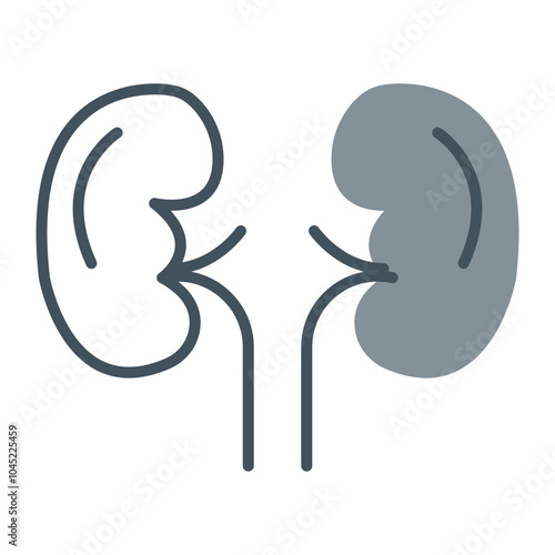 Kidneys Icon Design