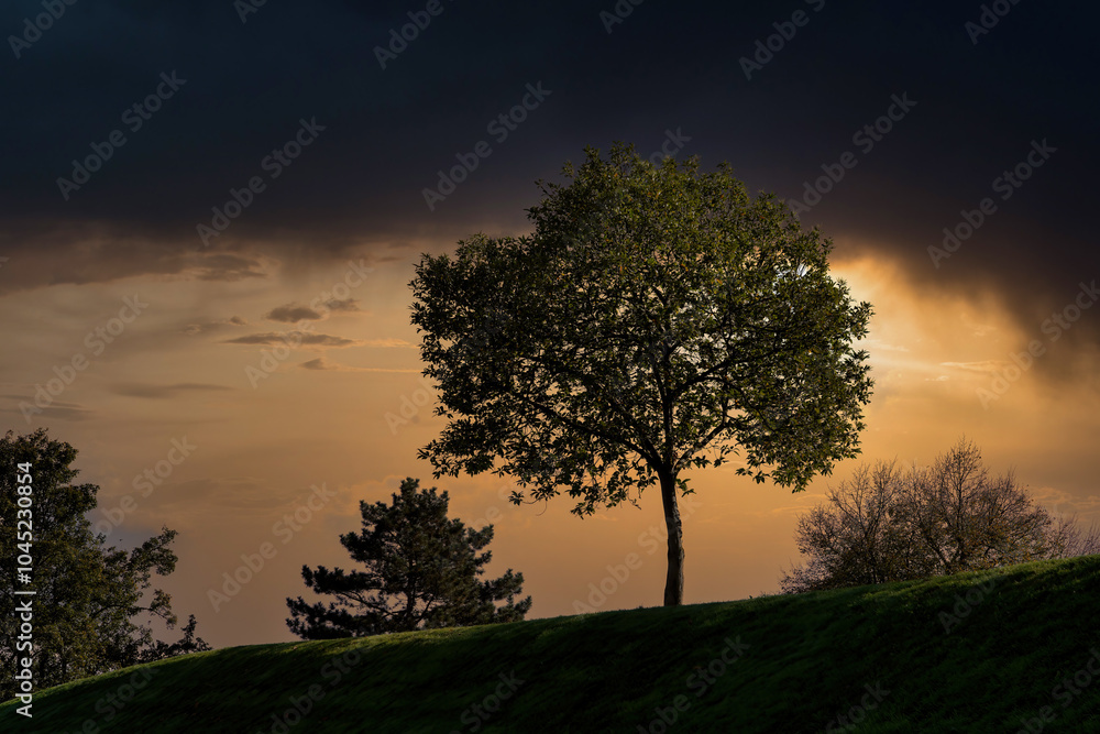 Obraz premium Landschaft im Schlechtwetter-Sonnenuntergang