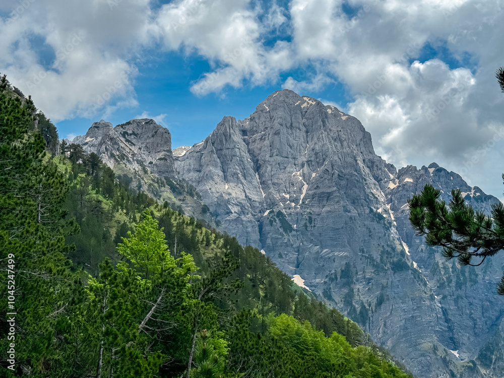 Majestic mountain ridge Maja Boshit towering over alpine forest in Albanian Alps (Accursed Mountains) in Northern Albania. Scenic hiking trail from Valbona to Theth. Wanderlust in alpine wilderness Majestic mountain ridge Maja Boshit towering over alpine forest in Albanian Alps (Accursed Mountains) in Northern Albania. Scenic hiking trail from Valbona to Theth. Wanderlust in alpine wilderness