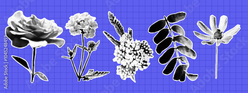 Trendy collage set with flowers. Rose, meadow flower, leaf. Vintage halftone effect.