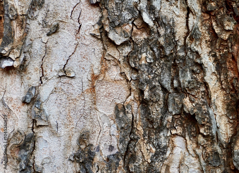 Brown rough and cracked tree bark natural textures isolated on horizontal ratio full frame background. Brown rough and cracked tree bark natural textures isolated on horizontal ratio full frame background.