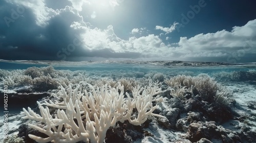 Coral reef destruction linked to global warming, featuring bleached and damaged coral ecosystems. photo