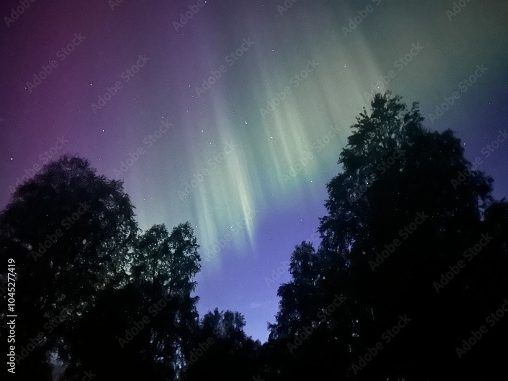 Northern light at a camp site in Sweden Northern light at a camp site in Sweden