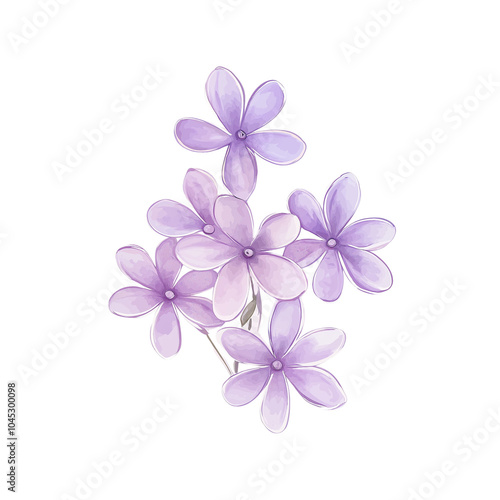 Watercolor lilac flowers on transparent background