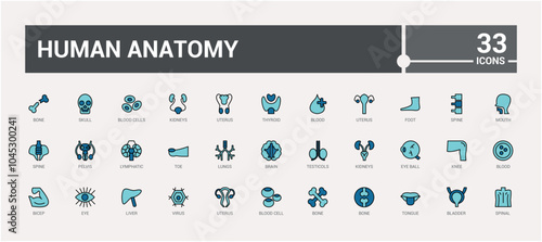Human Anatomy colorful set of web icons in line style. Contains such icons as anatomical, organs, anatomy, body, bone and more. Editable vector illustration. Icon names are written in English.