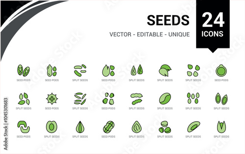 Nut And Seed colorful icon pack. Icons set with soybean, nuts, cocoa, coconut, coffee beans, nuts and seeds and more. Simple icon for mobile and web apps. Icon names are written in English.