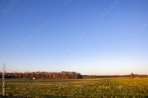 A captivating and stunning view of a sprawling agricultural field with lush trees under a vibrant blue sky