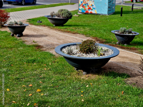 gray flower bowl is a flat profile flowerpot with flowering perennials in a square or on a street in a park. road barrier from steel, concrete, sage photo