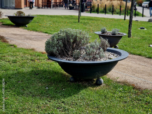 gray flower bowl is a flat profile flowerpot with flowering perennials in a square or on a street in a park. road barrier from steel, concrete, sage photo