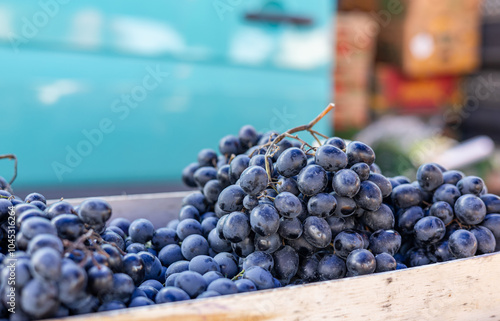 Grape or anggur on the market. Grapes can be eaten fresh as table grapes or they can be used for making wine, jam, grape juice and jelly photo