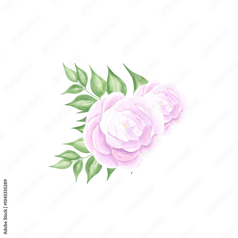 Fototapeta premium Flower watercolor. Hand draw watercolor illustrations on white background. Flower watercolor for design