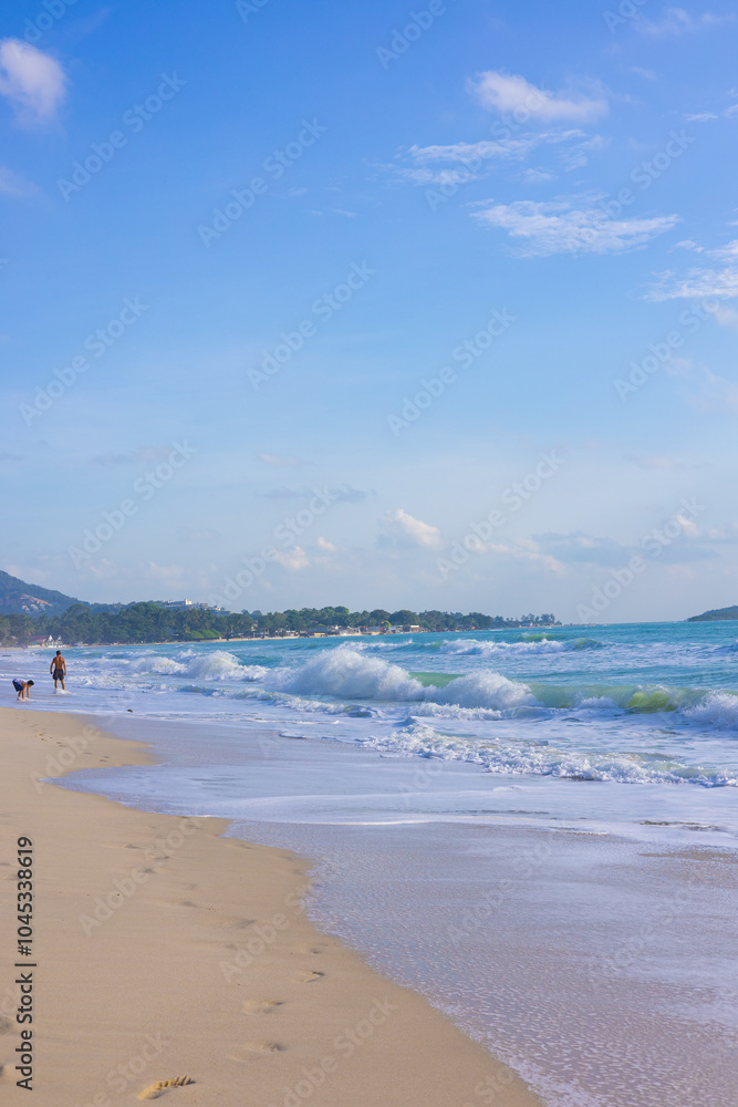 Tropical sea beach wave white sand sunny day Tropical sea beach wave white sand sunny day