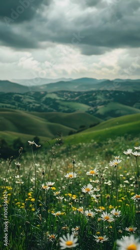 Serene Rolling Green Hills Under Dramatic Clouds