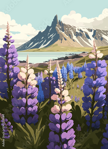 Iceland. Field of purple lupines with a scenic mountain range in the background, showcasing vibrant colors/